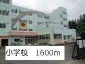 Primary school. 1600m up to elementary school (elementary school)