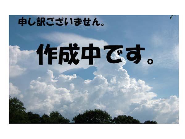 Other Environmental Photo. 100m up during the configuration