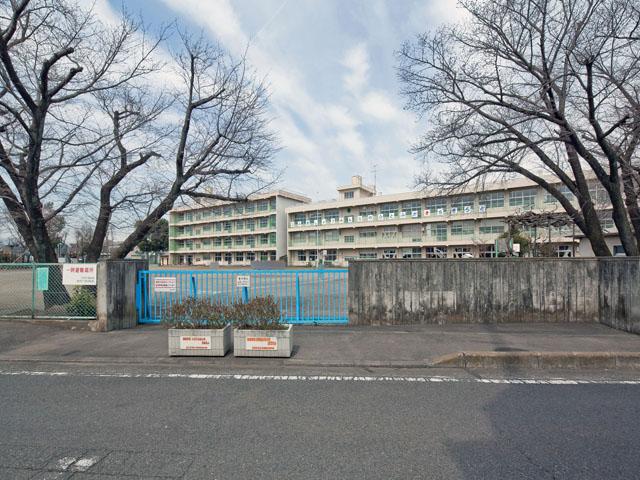 Other local. Sagamihara Municipal Namiki Elementary School Distance 80m