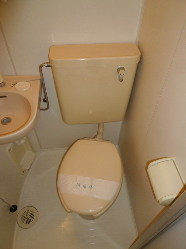 Toilet. It is a beautiful toilet