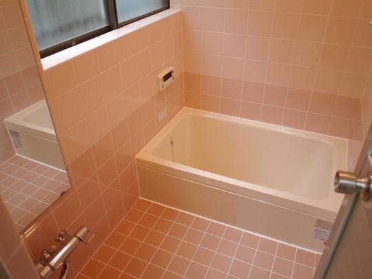 Bathroom. unit bus, New replaced.