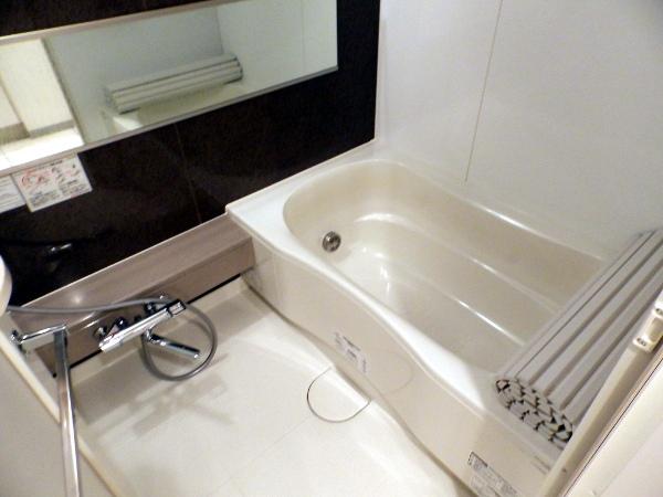 Wash basin, toilet. Indoor (10 May 2013) Shooting