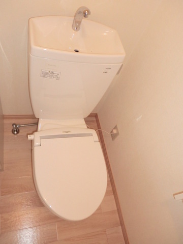 Toilet. Toilet with cleanliness