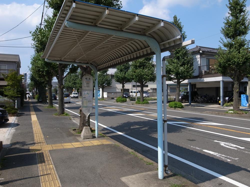 Other. Before the grounds of the eye is the bus stop of Sagamihara Train Station.