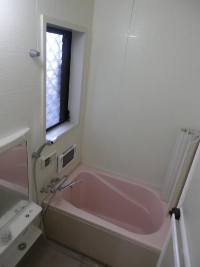 Bathroom. Indoor (10 May 2013) Shooting