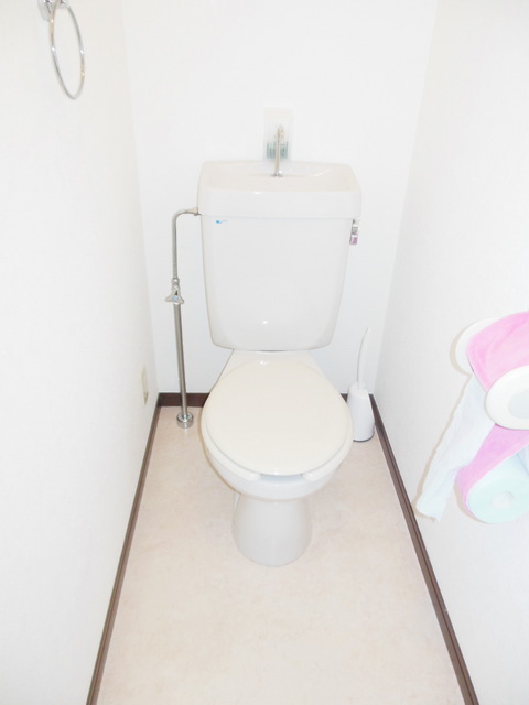 Toilet. Western-style toilet