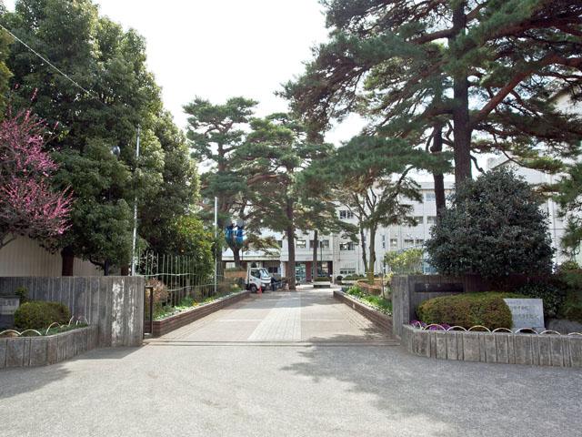 Other local. Sagamihara Municipal Yasaka Junior High School Distance 940m