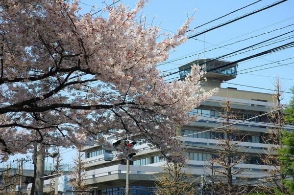 Government office. 700m to Sagamihara City Hall