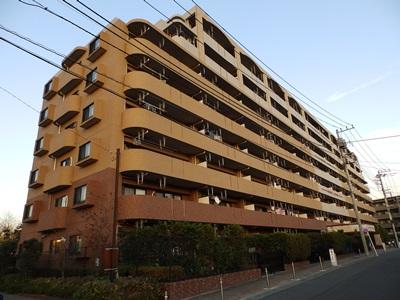 Other local. Local (10 May 2013) Shooting