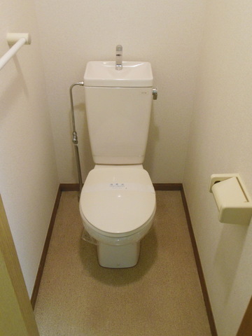 Toilet. It is a spacious toilet space