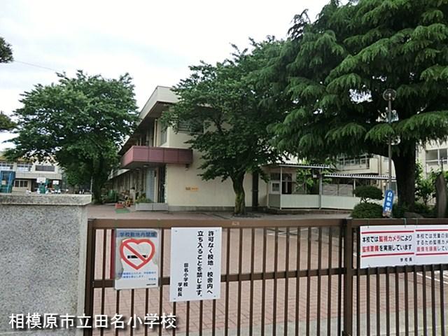 Primary school. Dana Elementary School