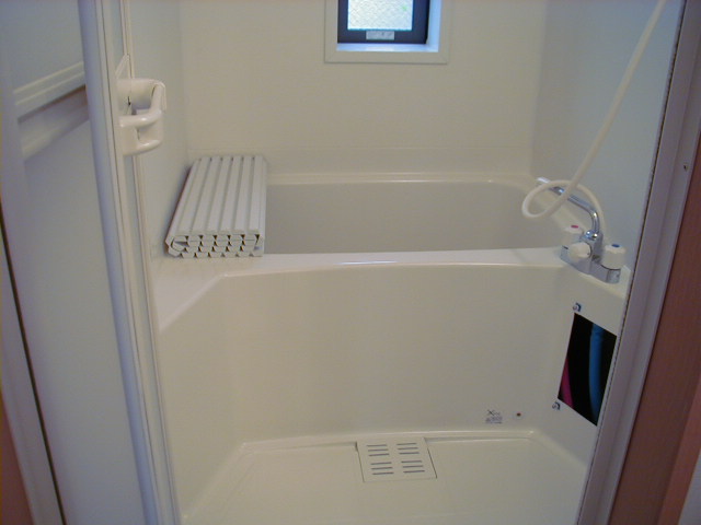 Bath. Bathroom Dryer Salmon faucet Wide bathtub