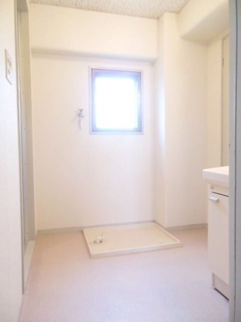 Washroom. Wide dressing room