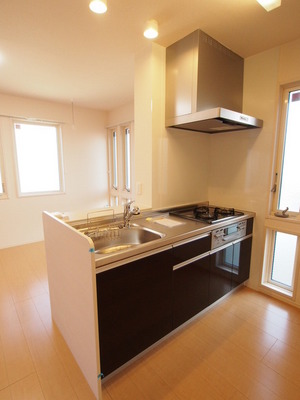 Kitchen. Spacious bright open type of face-to-face kitchen!