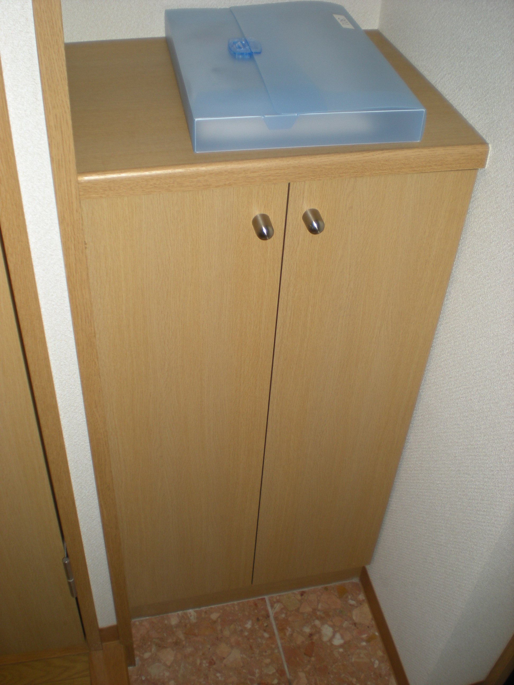 Entrance. Shoes box