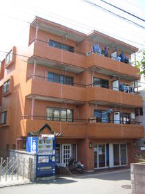 Building appearance