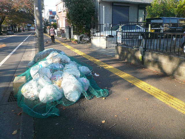 Other. Garbage is a dump.