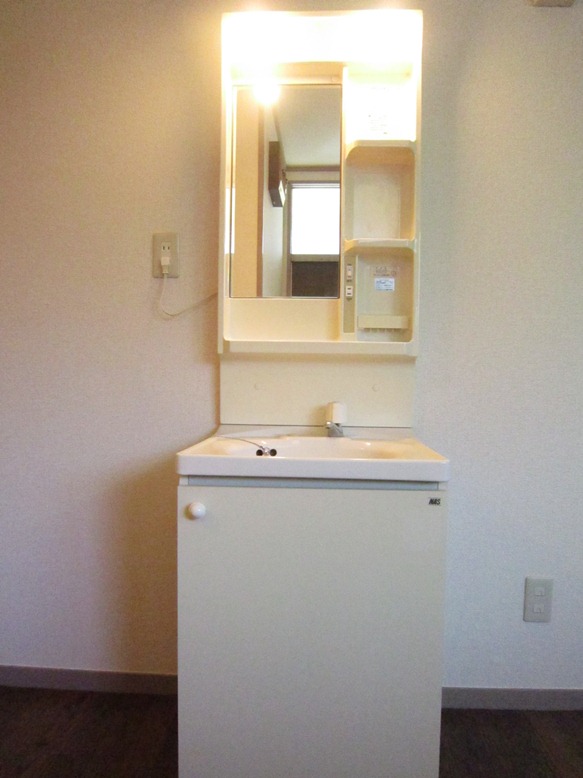 Washroom. Bathroom vanity
