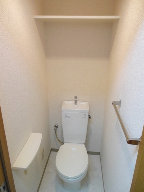 Toilet. There is a shelf in toilet