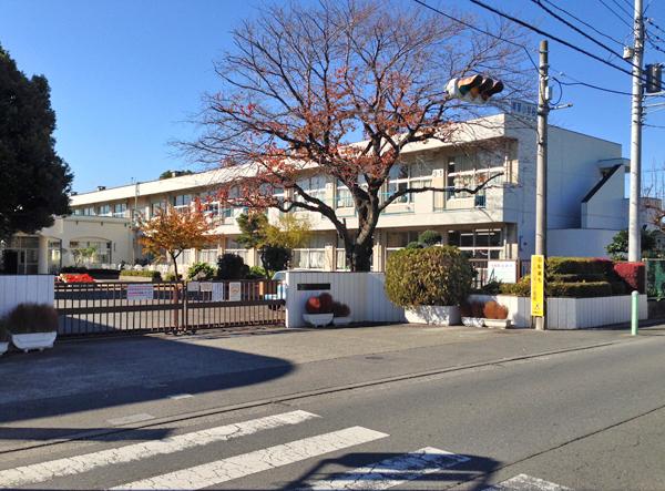 Other. Aoba elementary school (about 480m)