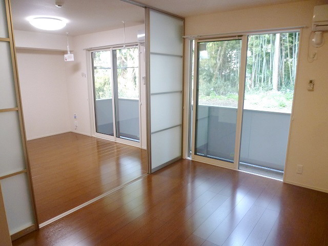 Living and room. Bright rooms