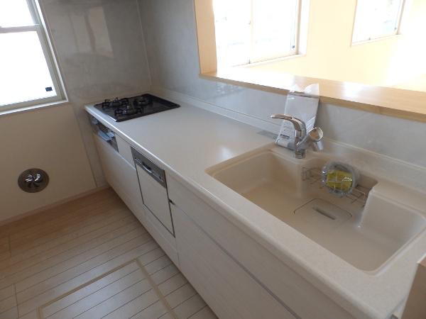 Kitchen. Indoor (10 May 2013) Shooting