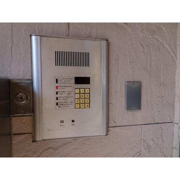 Other introspection. With auto lock