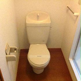 Toilet. With hot water wash