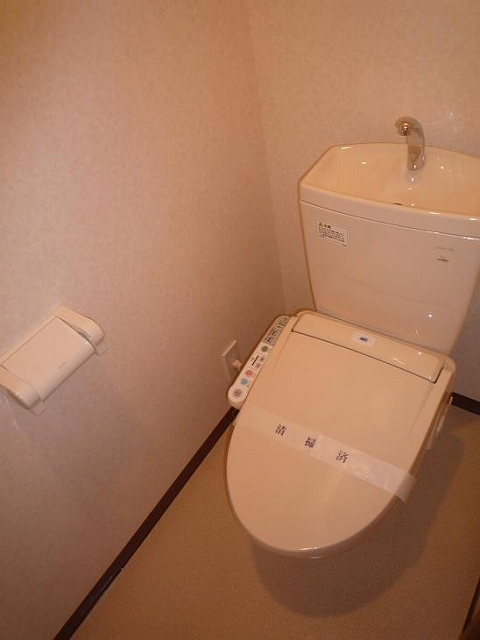 Toilet. Toilet with bidet function