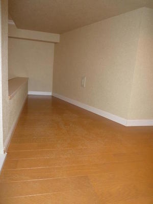Other. loft