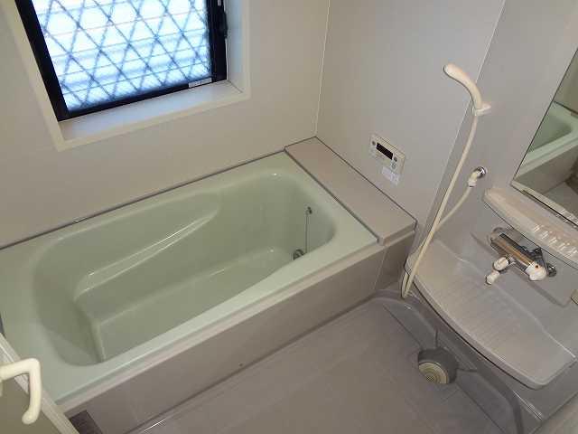 Bathroom. Indoor (January 2014) Shooting