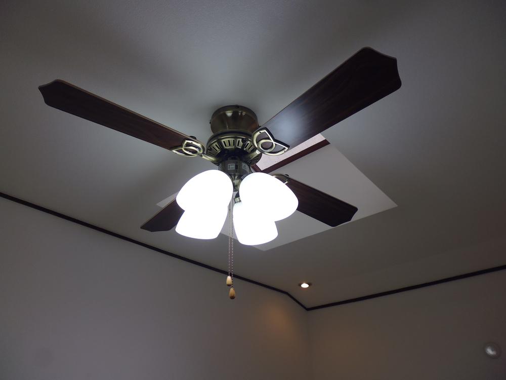 Other introspection. Ventilation fan with lighting, Top light