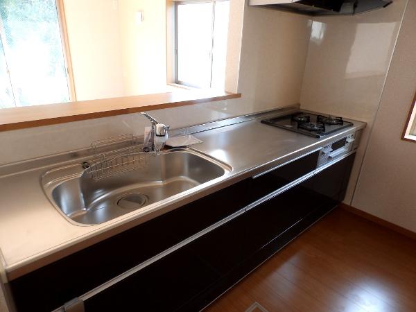 Kitchen. Indoor (10 May 2013) Shooting