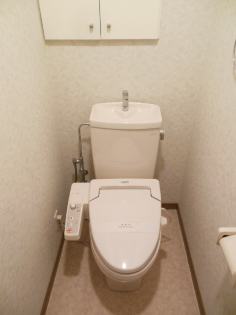 Toilet. Toilet