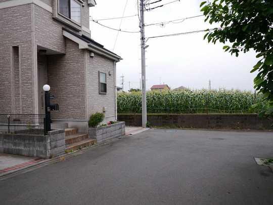 Local photos, including front road