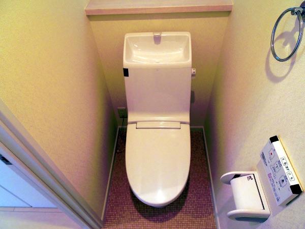 Toilet. Indoor (10 May 2013) Shooting