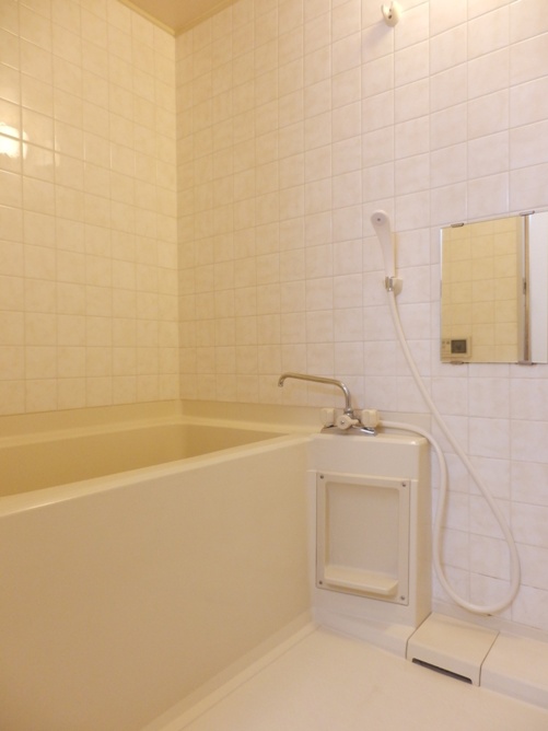 Bath. Add-fired with function Bathroom Dryer
