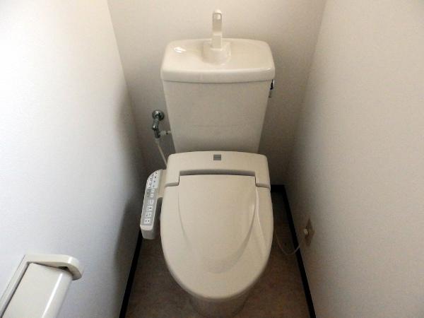 Toilet. Indoor (10 May 2013) Shooting