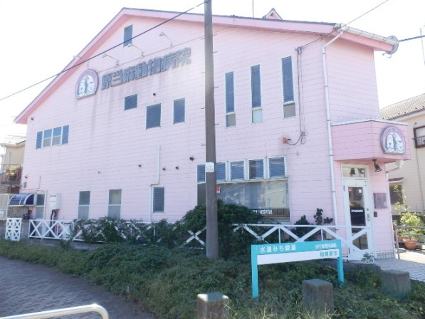 Other. 1180m until the original Toma animal hospital (Other)