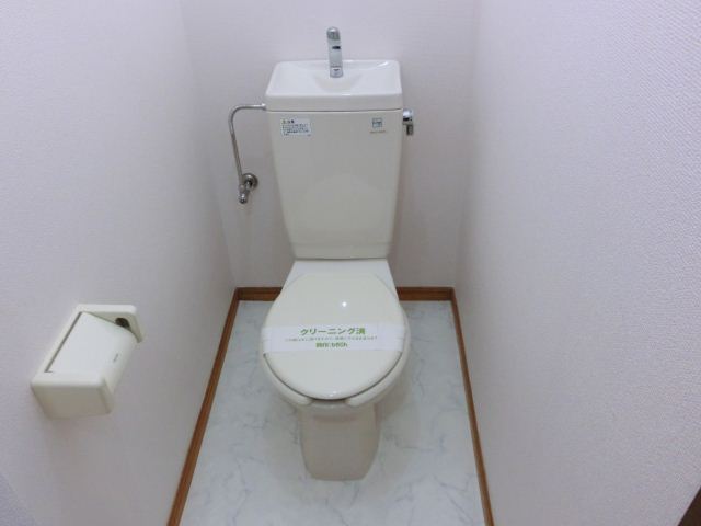 Toilet. A slow time in the pure white toilet