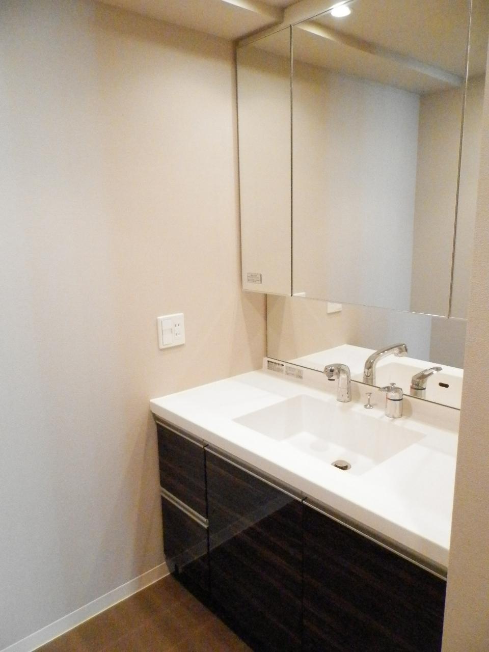 Wash basin, toilet. Bathroom vanity