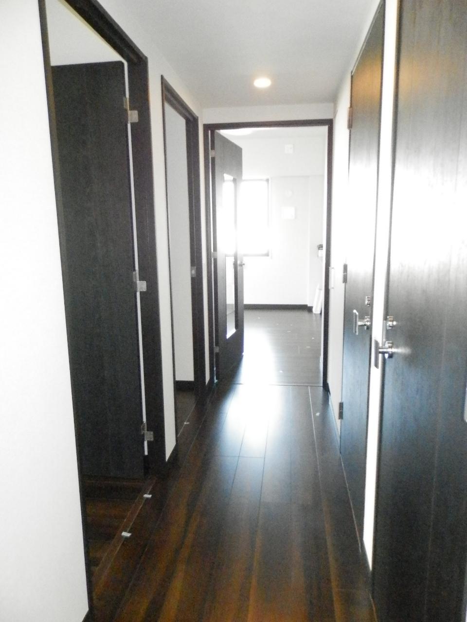 Other introspection. Hallway from the entrance