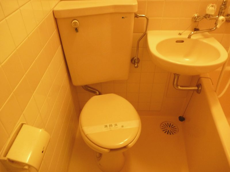 Toilet. Reference photograph