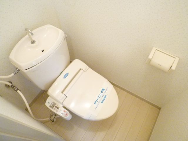 Toilet. Toilet