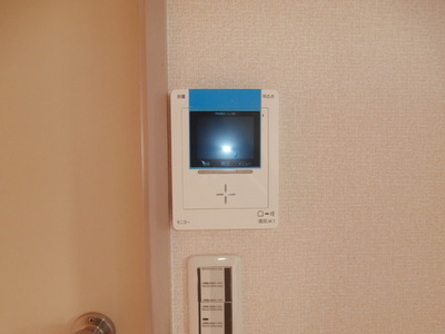 Security. It is understood visitor, TV monitor with intercom