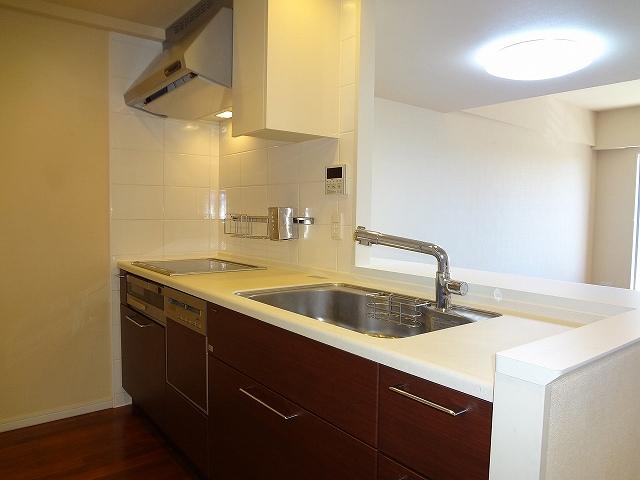 Kitchen. Indoor (March 2013) Shooting