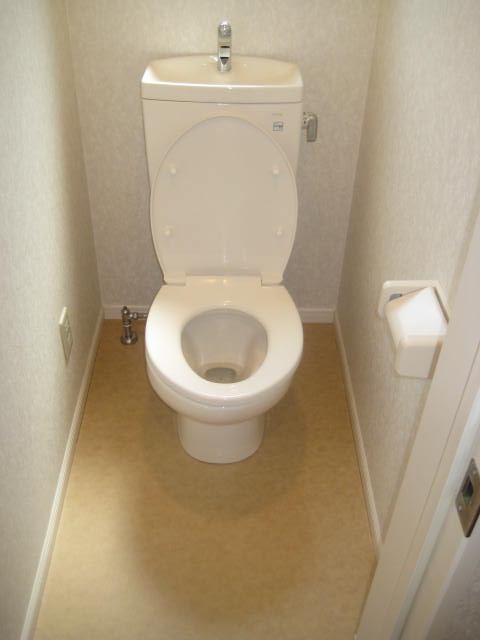 Toilet. It is beautiful because there is still shallow age.