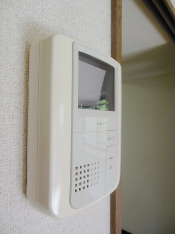 Security. Intercom with TV monitor