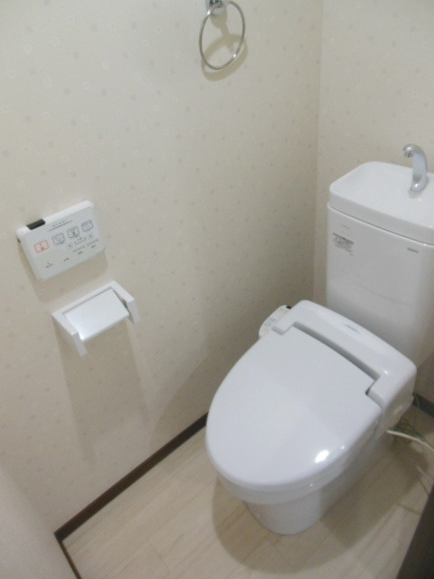 Toilet. Toilet is with a bidet
