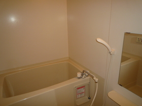 Bath. Bathroom (with additional heating function)